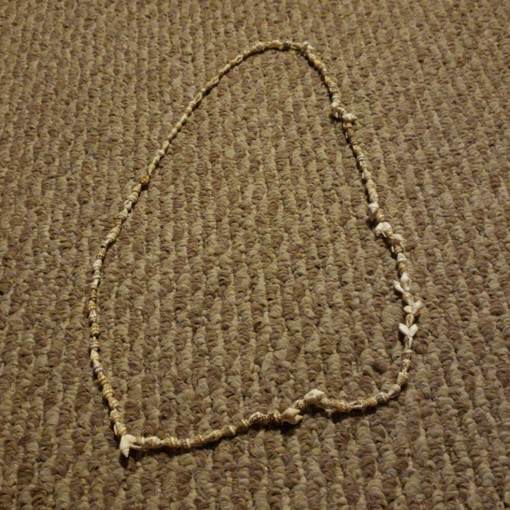 Seashell Necklace